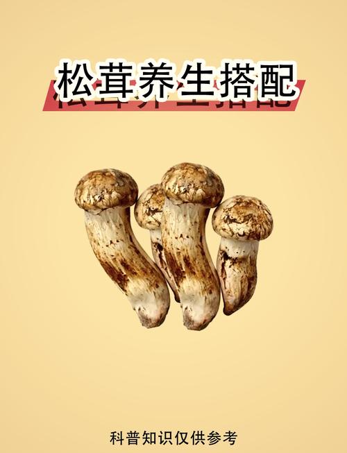 松茸家常做法(松茸菇的做法大全)-第4张图片-窝头美食网 松茸家常做法(松茸菇的做法大全)-第4张图片-窝头美食网