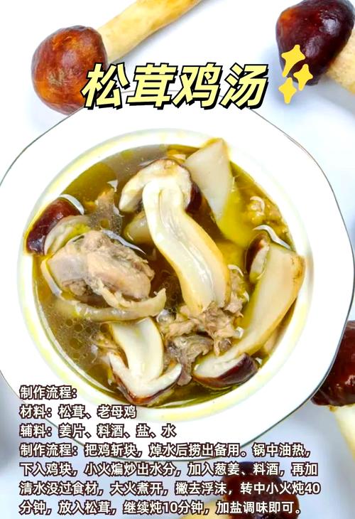 松茸家常做法(松茸菇的做法大全)-第6张图片-窝头美食网 松茸家常做法(松茸菇的做法大全)-第6张图片-窝头美食网