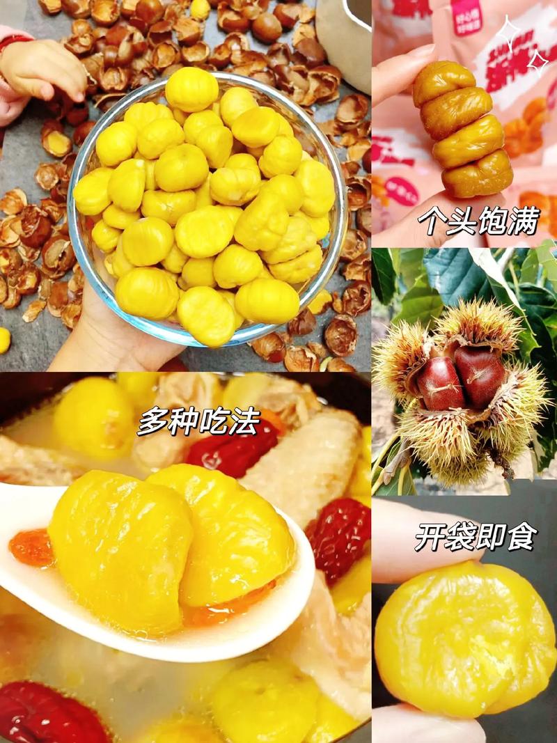 晒干的板栗怎么做好吃(晒干板栗怎么去壳和皮)-第2张图片-窝头美食网 晒干的板栗怎么做好吃(晒干板栗怎么去壳和皮)-第2张图片-窝头美食网