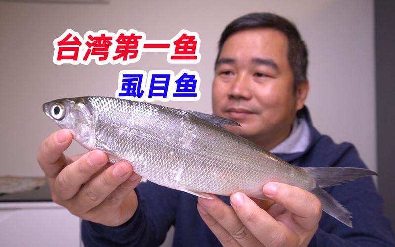 虱目鱼好吃吗(虱目鱼费用多少钱一斤)-第5张图片-窝头美食网 虱目鱼好吃吗(虱目鱼费用多少钱一斤)-第5张图片-窝头美食网