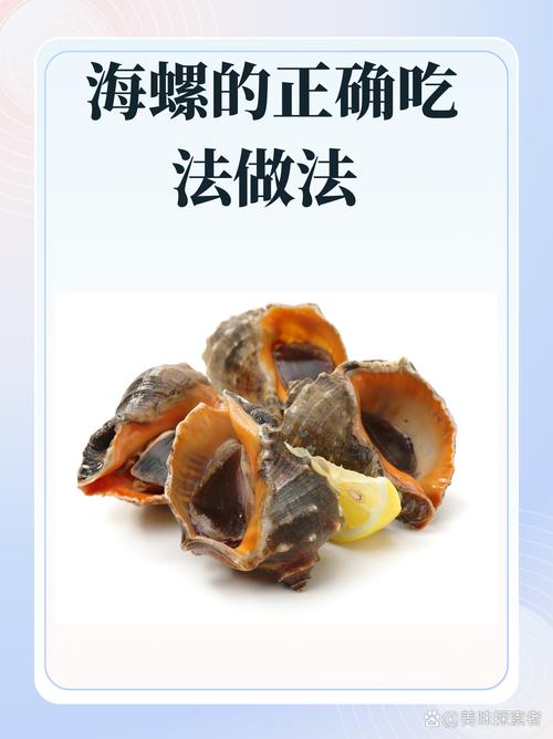 海螺做法大全(深海螺片怎么做好吃)-第3张图片-窝头美食网 海螺做法大全(深海螺片怎么做好吃)-第3张图片-窝头美食网