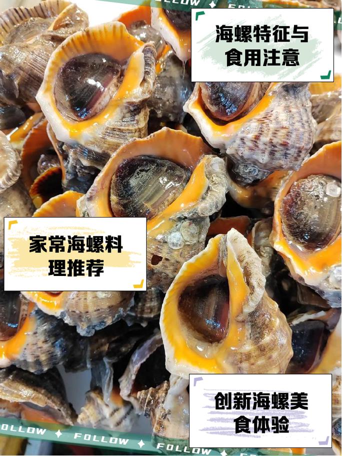 海螺做法大全(深海螺片怎么做好吃)-第5张图片-窝头美食网 海螺做法大全(深海螺片怎么做好吃)-第5张图片-窝头美食网