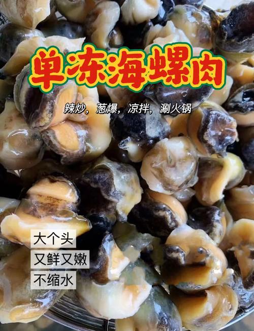 海螺做法大全(深海螺片怎么做好吃)-第7张图片-窝头美食网 海螺做法大全(深海螺片怎么做好吃)-第7张图片-窝头美食网