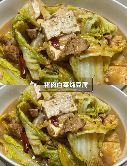 猪肉豆腐的做法(我想看猪肉豆腐)-第5张图片-窝头美食网 猪肉豆腐的做法(我想看猪肉豆腐)-第5张图片-窝头美食网