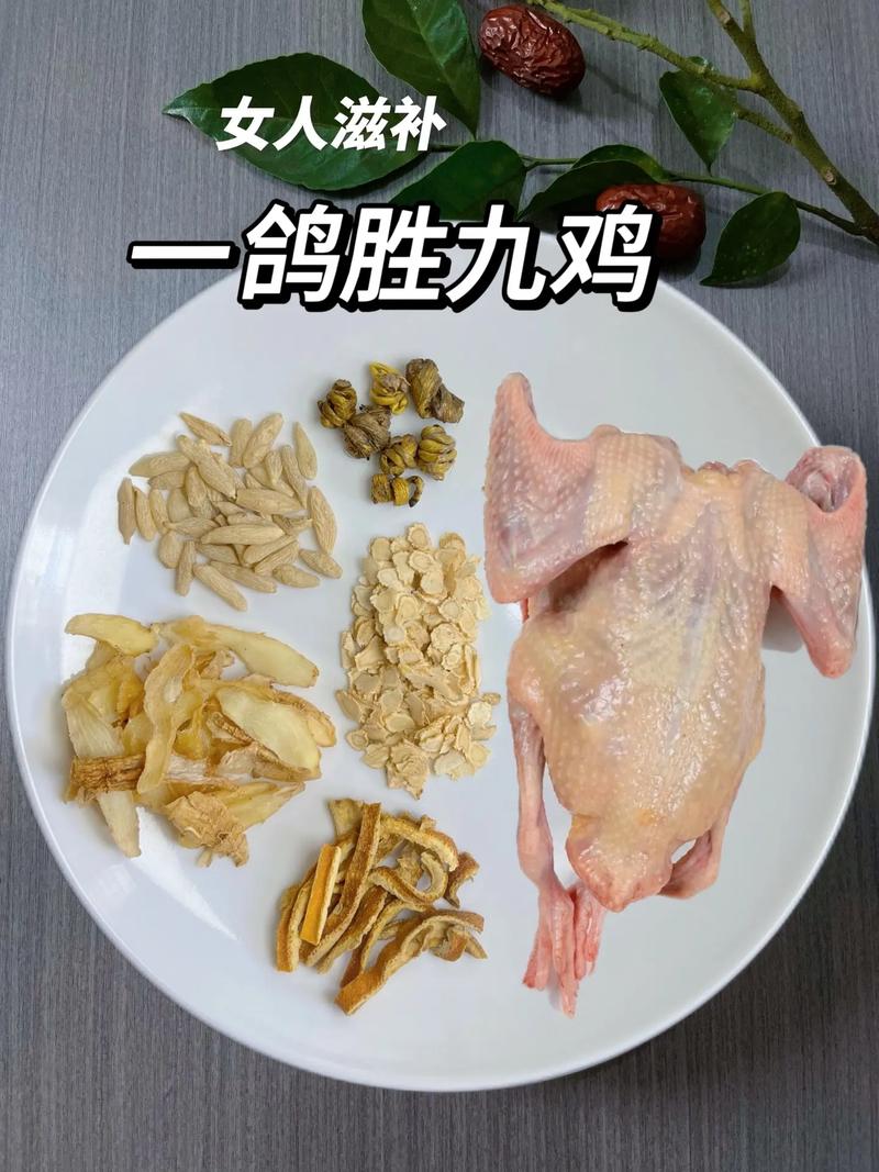 怎么炖鸽子好吃(怎么炖鸽子好吃啊)-第4张图片-窝头美食网 怎么炖鸽子好吃(怎么炖鸽子好吃啊)-第4张图片-窝头美食网