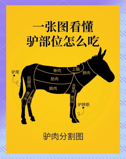 比较好吃的驴肉(比较好吃的驴肉在哪里?)-第5张图片-窝头美食网 比较好吃的驴肉(比较好吃的驴肉在哪里?)-第5张图片-窝头美食网